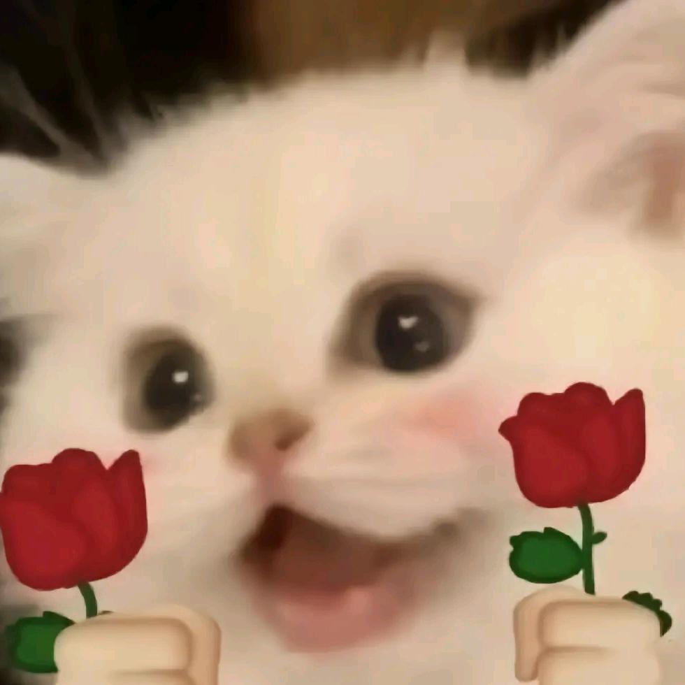 栩栩૮₍ ˃ ⤙ ˂ ₎ა