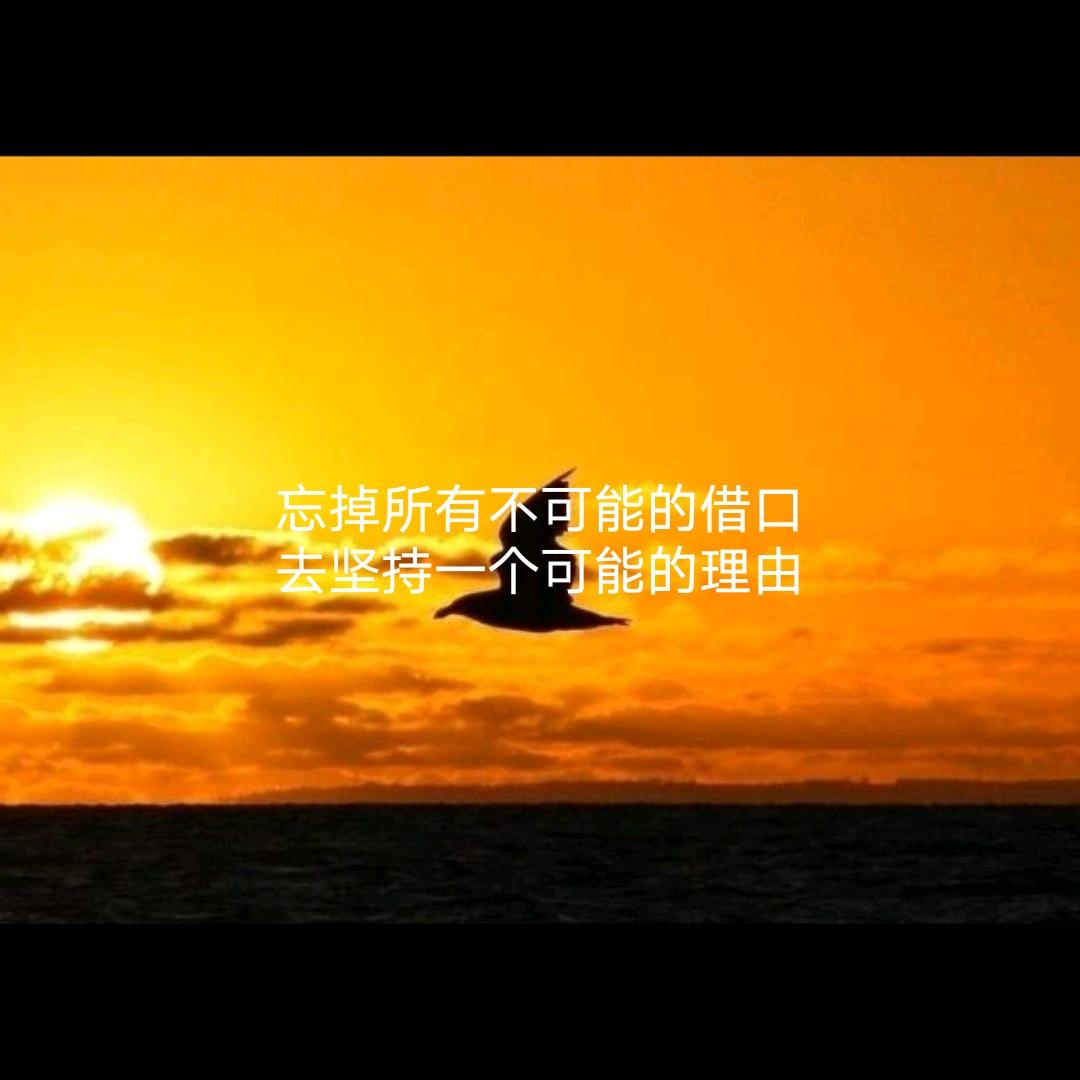 皆如梦