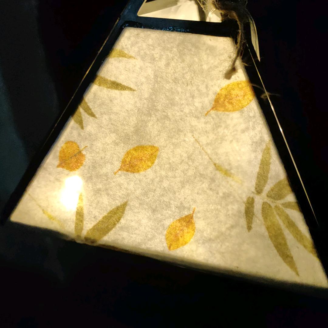 大脸熊