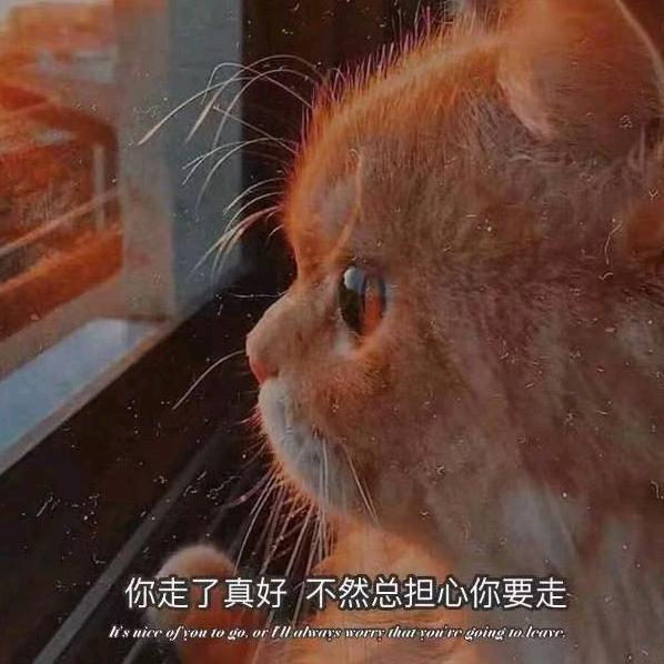 古德挖机
