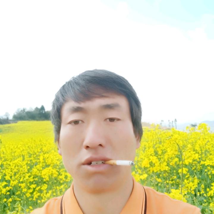 相思雨
