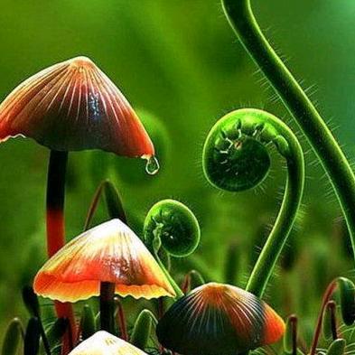 小草🍀