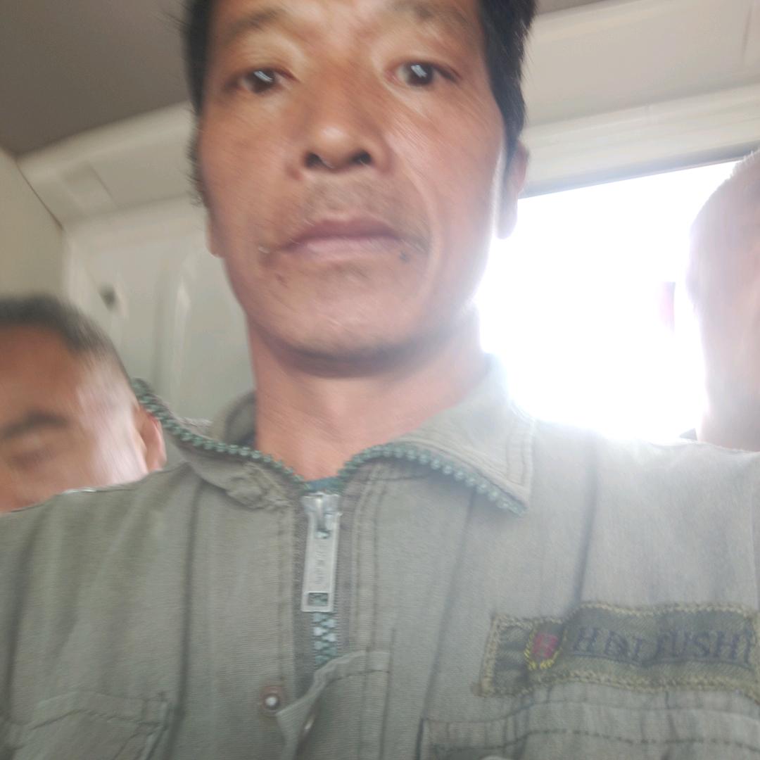 爱的信福顺情自然