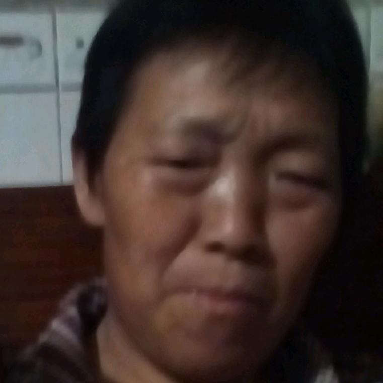 朱朝珍