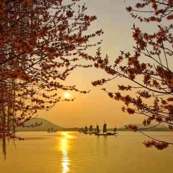 湖边衍岸