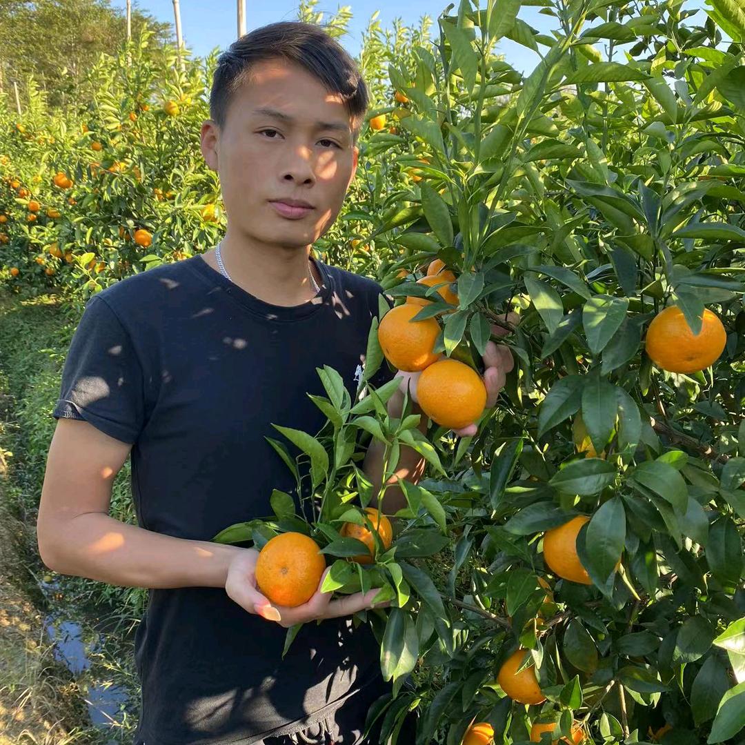 洪阳啊龙果树园