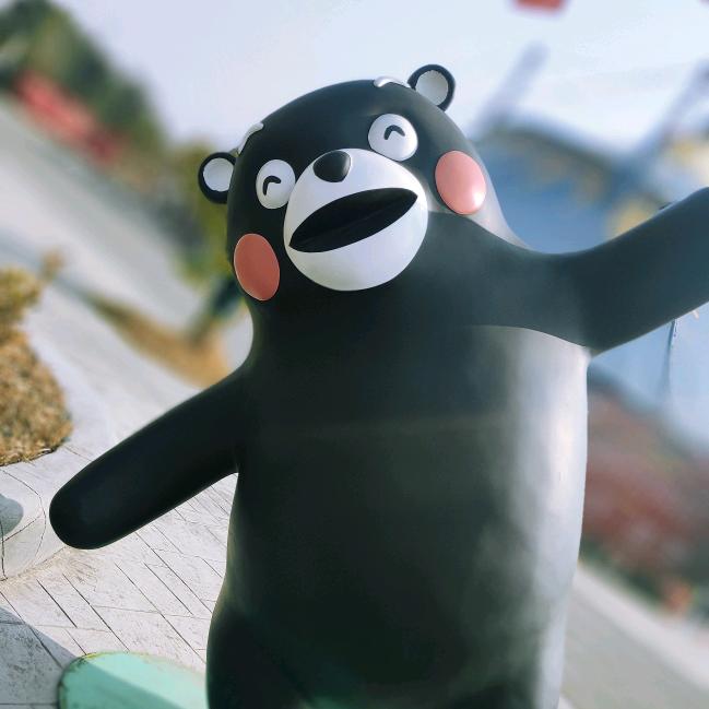 小猫不吃🐟