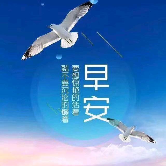 万弘百货橱窗