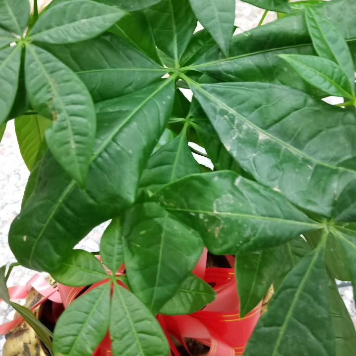 慕黛精品女装🌷