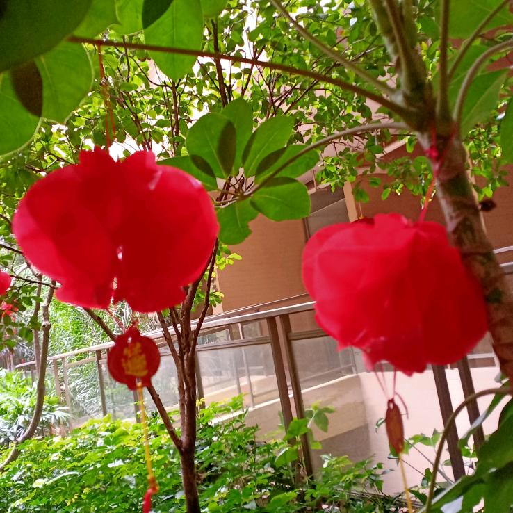 清晨的阳光
