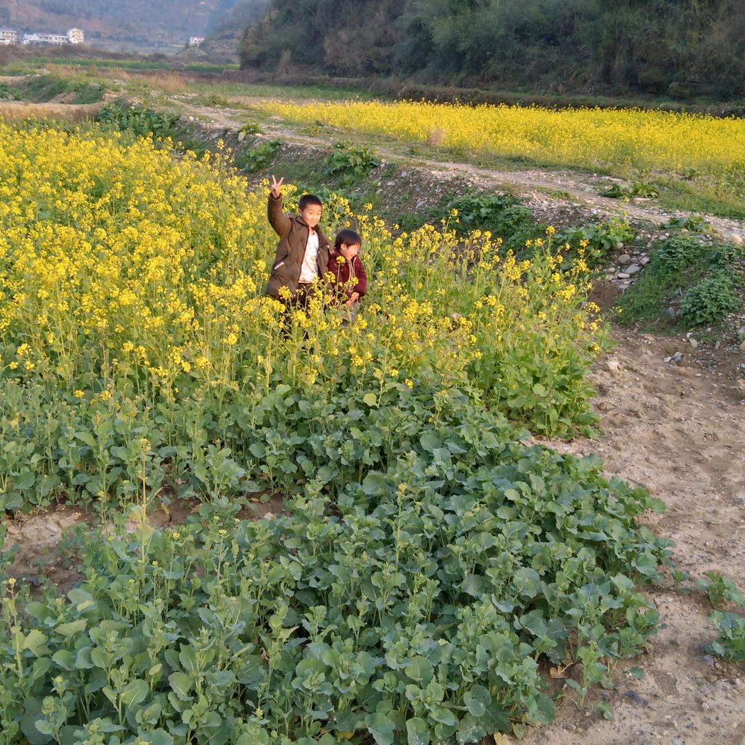 清风明月🌟清