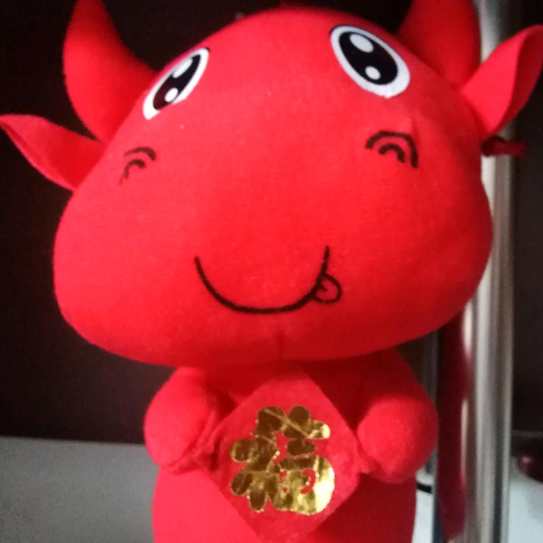 E飞科技