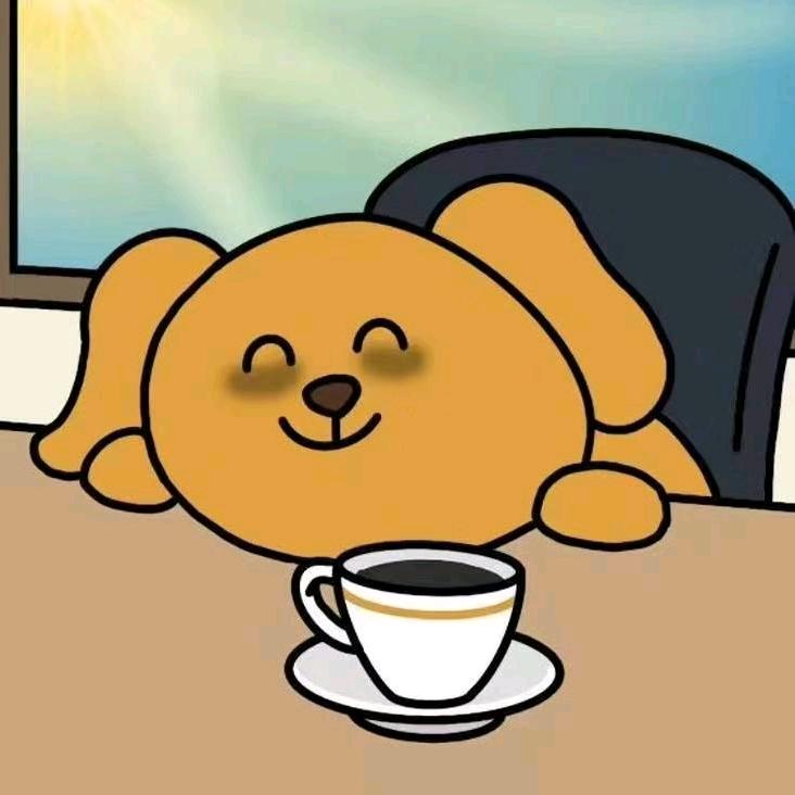 54047
