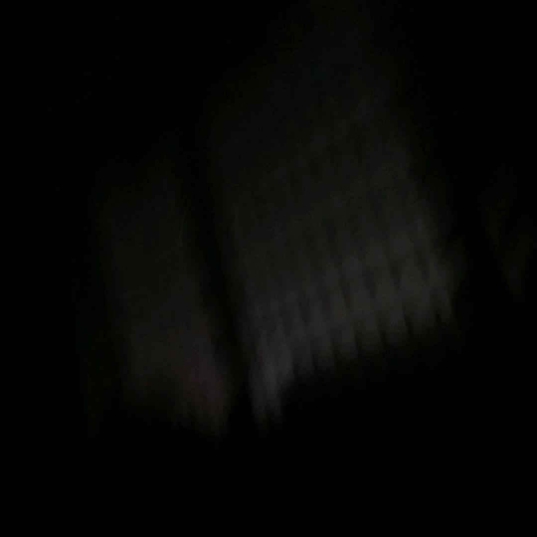 二月
