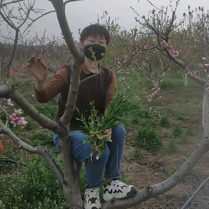 爱喝茶的人