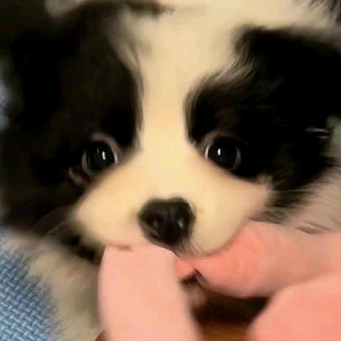 张张奶茶