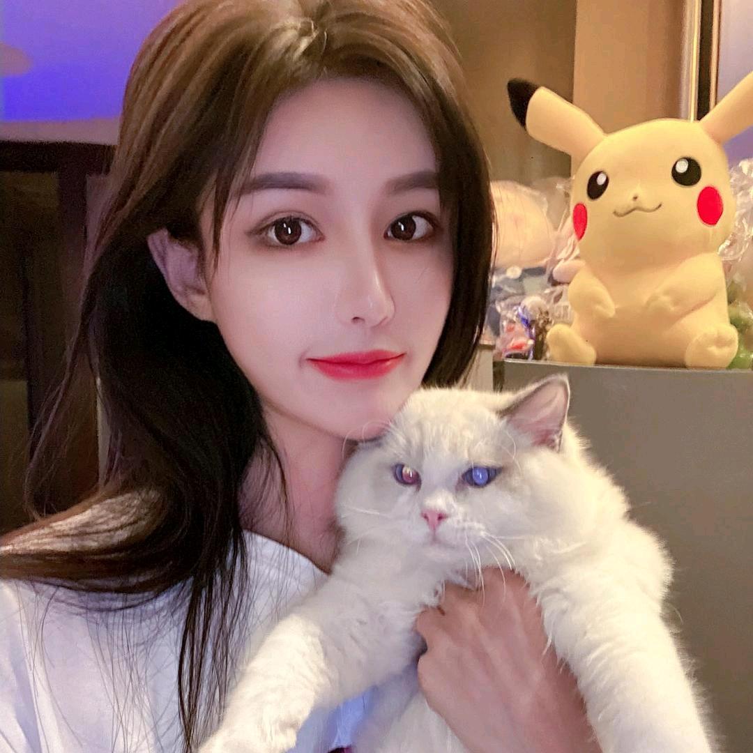 只爱安猪