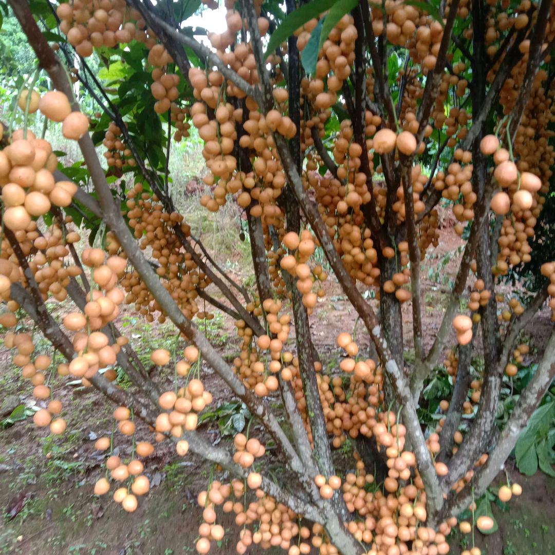 忘掉过去🌹🌹