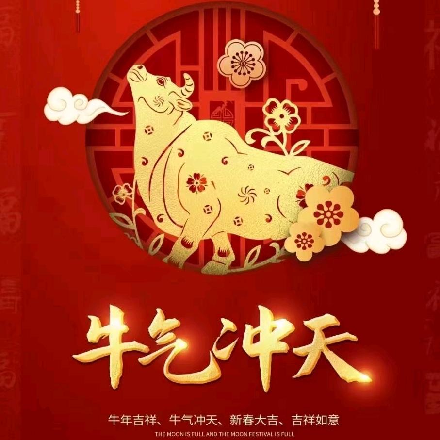 昆石防轧防爆轮胎-安顺总代理