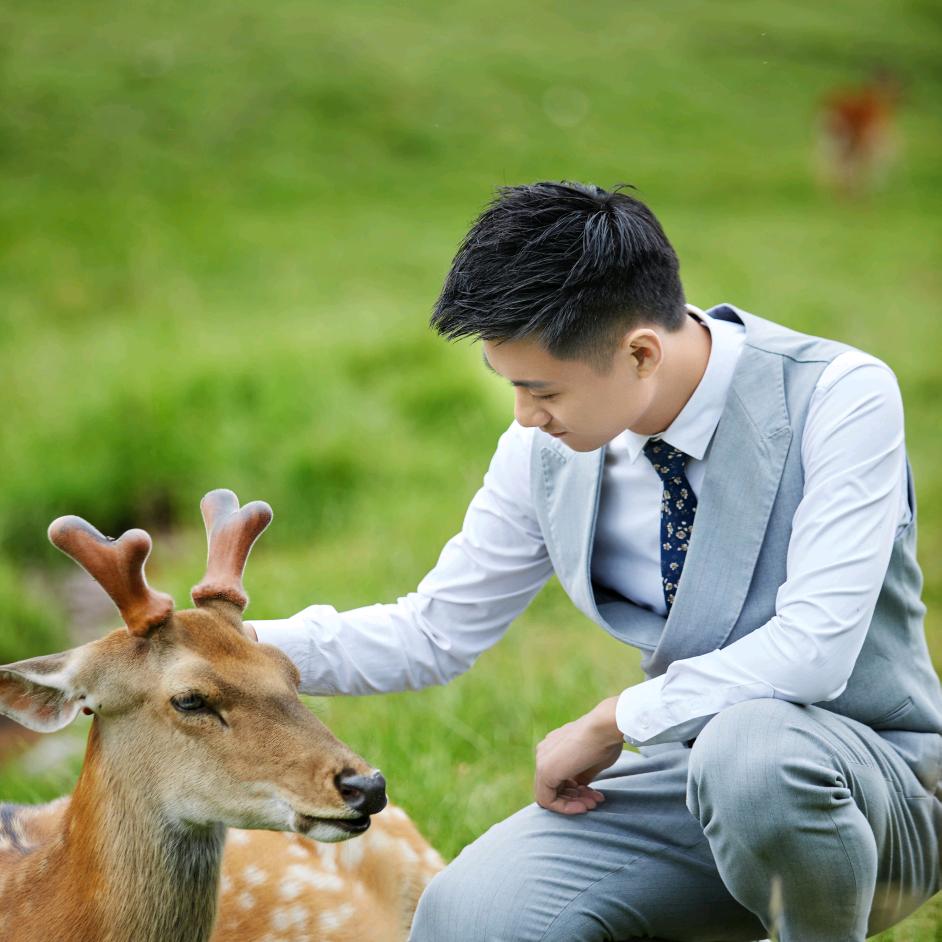 @仇小博的罐罐玩具铺