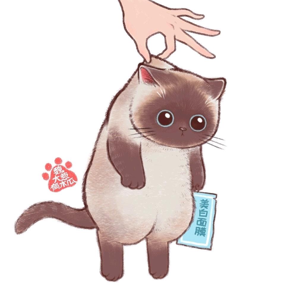 第9街区·沉浸式真人·超级密室官方号