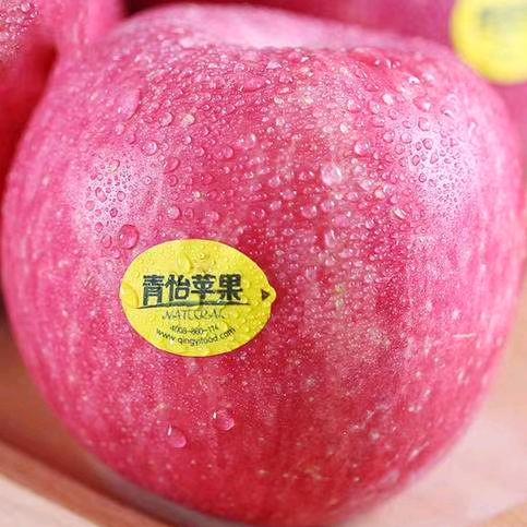 1096503058惠佳百货