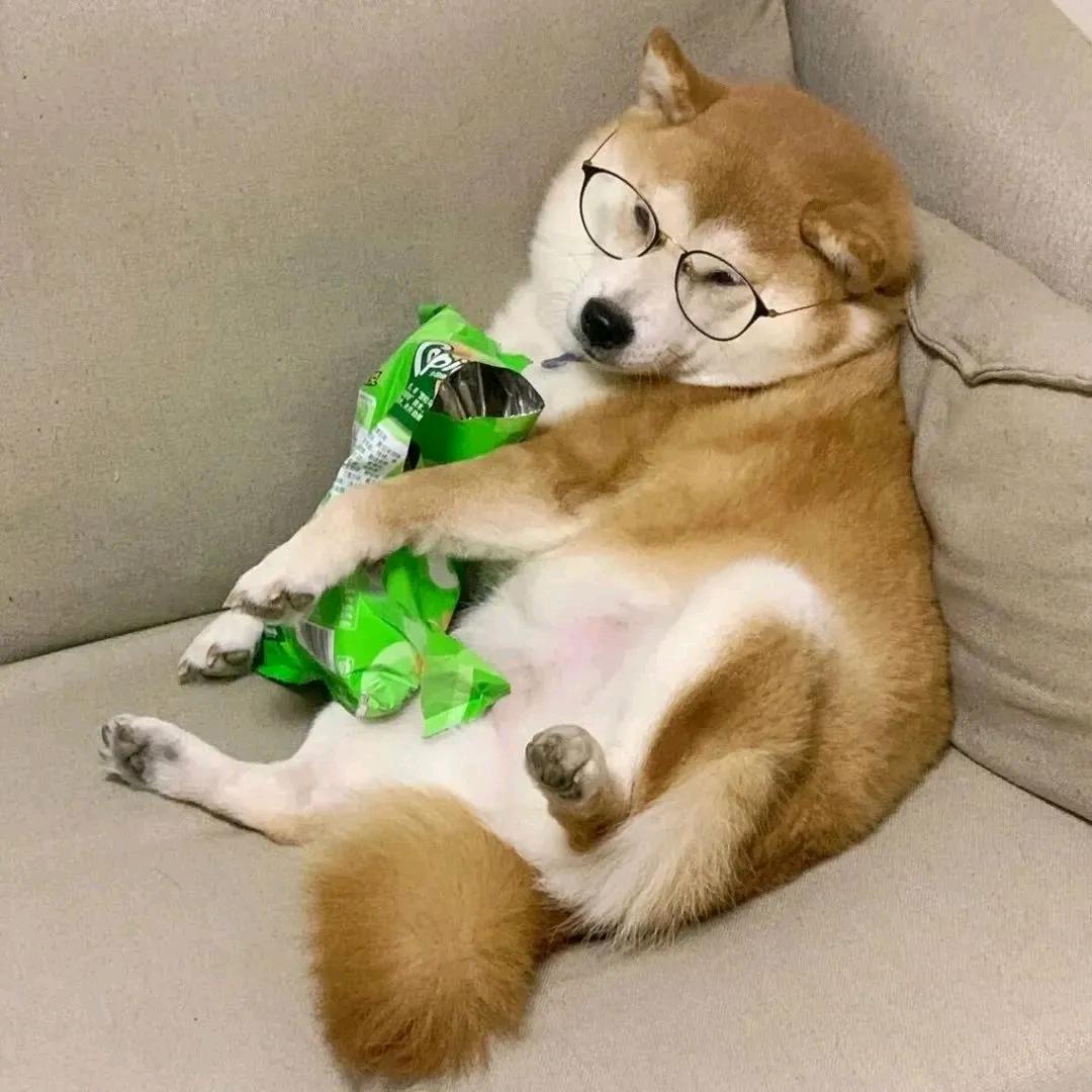 自卑的猴子