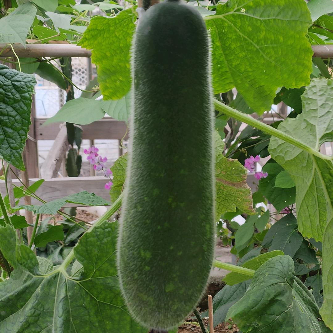 用户8339917251279