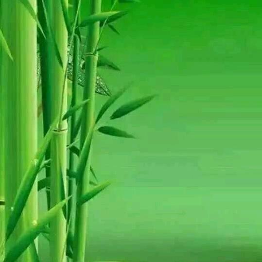 悟.静