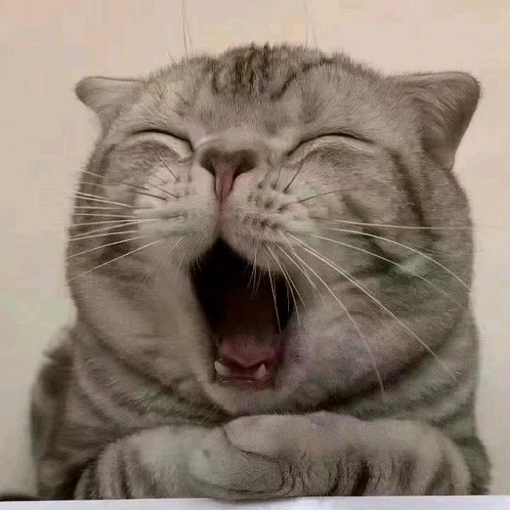 十月丶