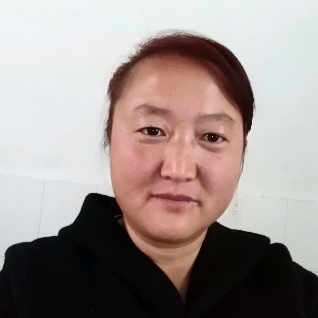 带雪的玫瑰