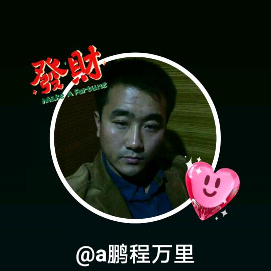 a鹏程万里