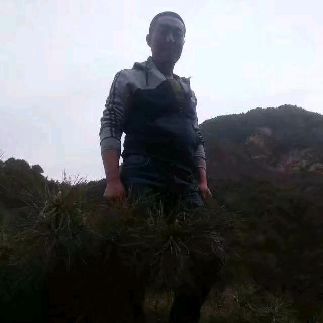 戎马天涯