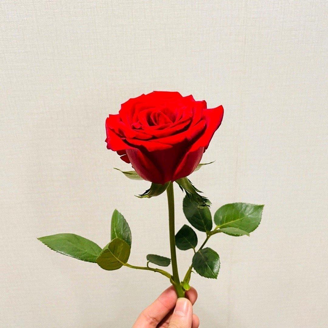 是 辛动啊！【拒私聊】