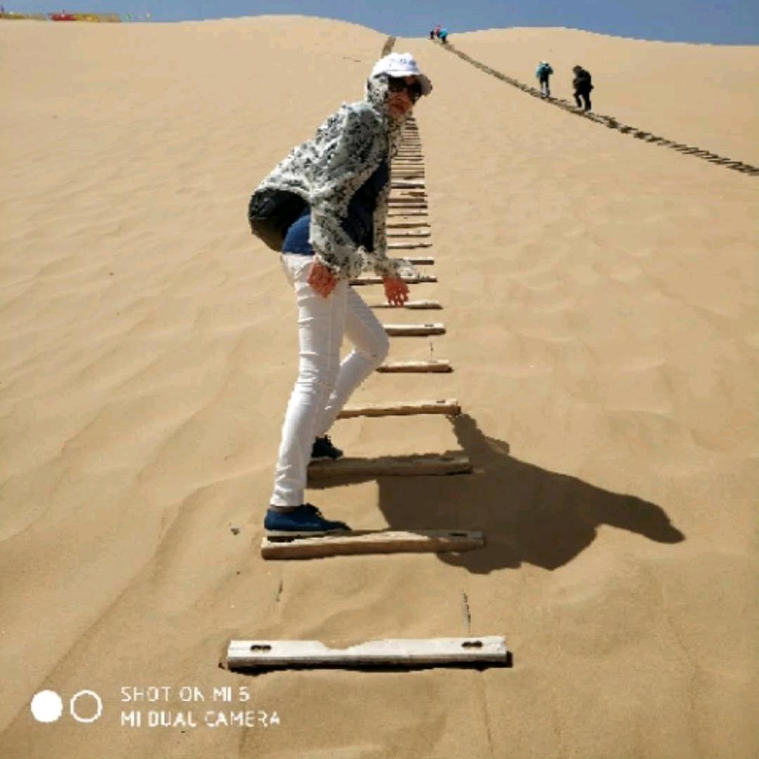 周游《手机摄影》