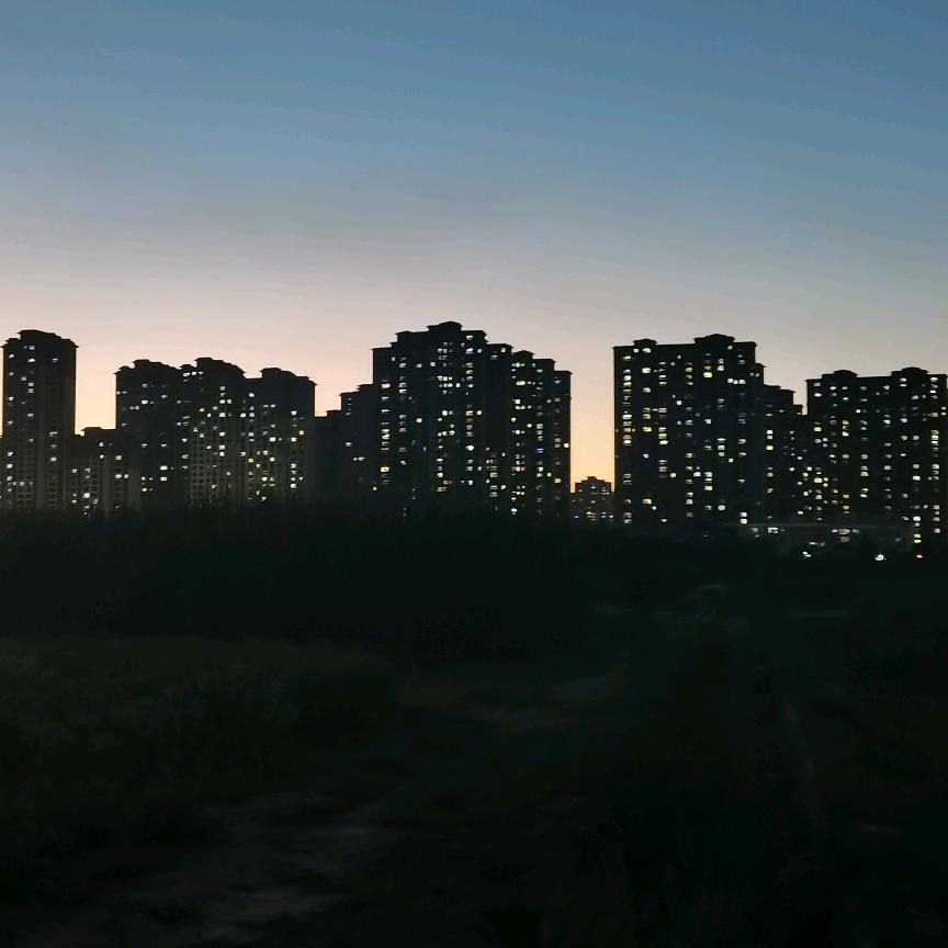 苗苗
