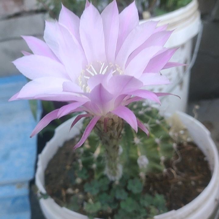 唯我独尊