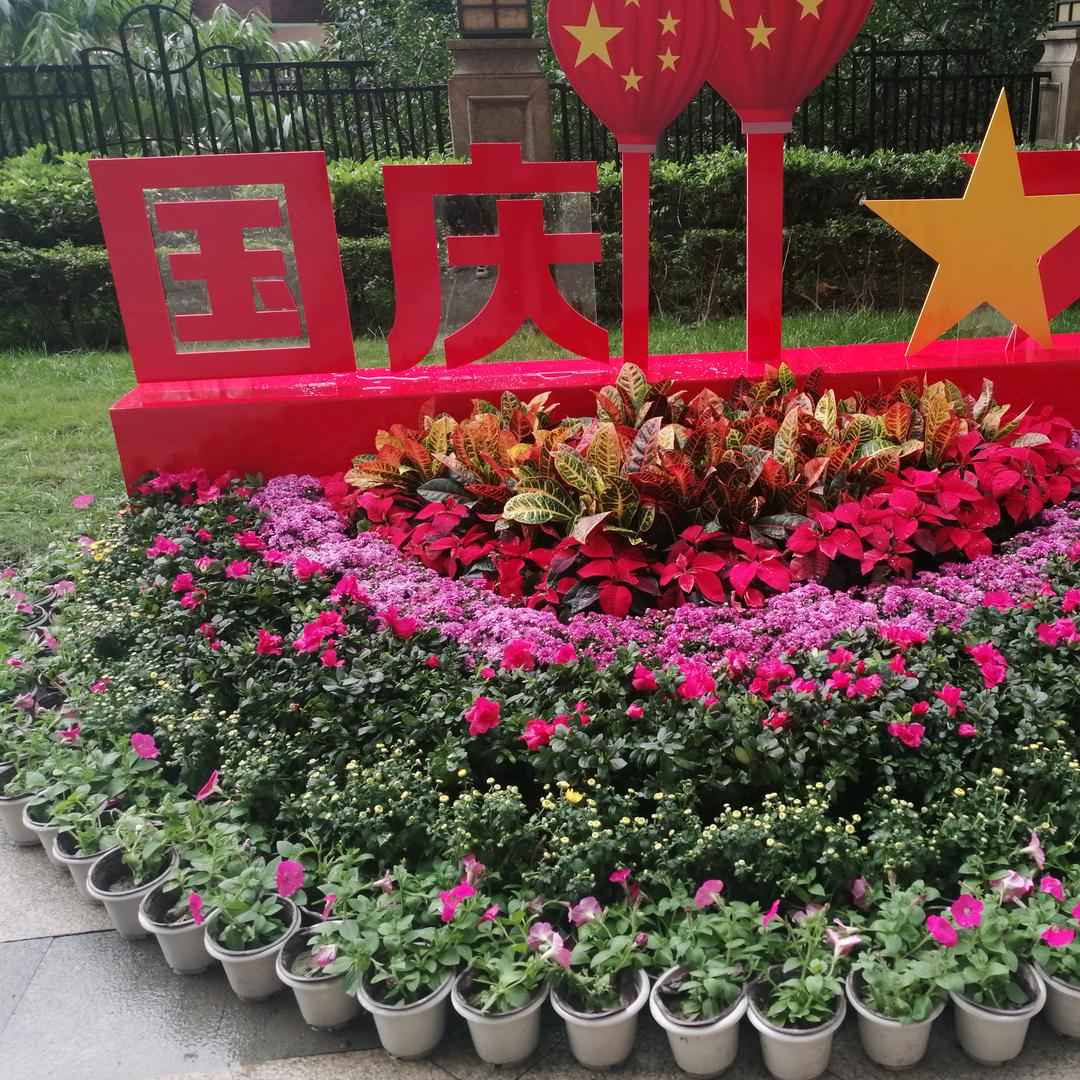 风清云淡～