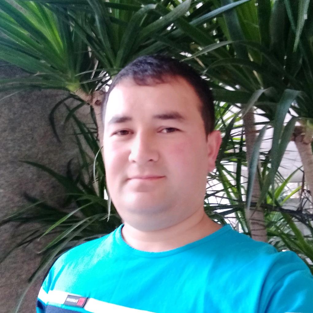 喀什市甜味蜜蜂蜜批发店