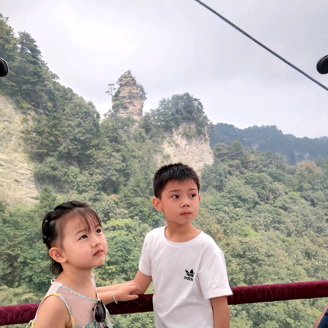 龙鲵