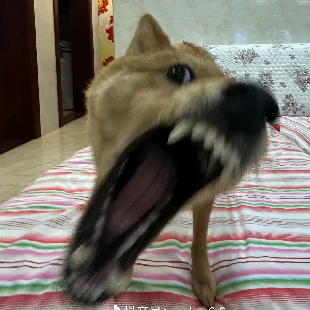 程姠凌
