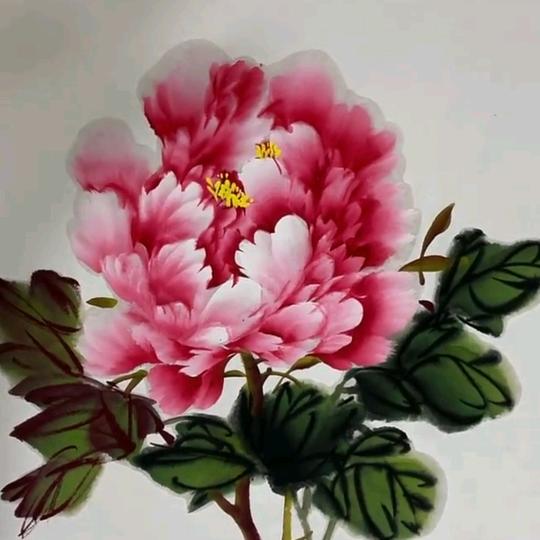淡静如水