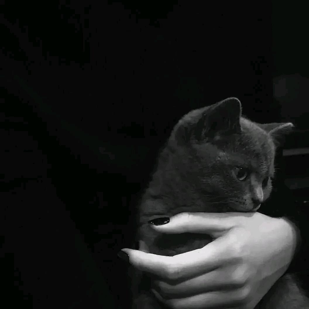 深海里的星星💫