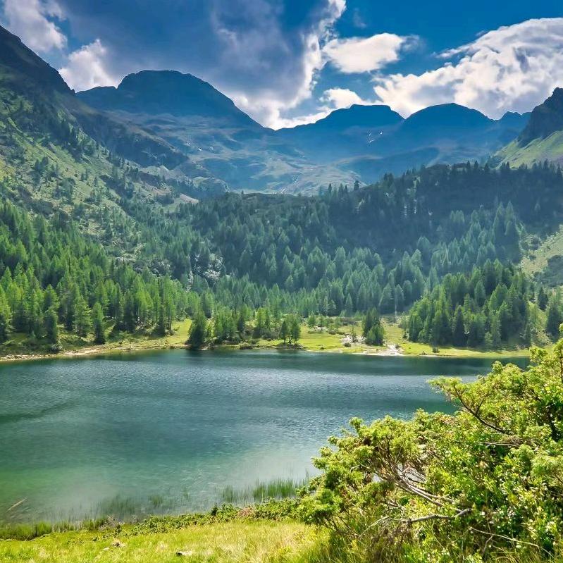 往事随风☘️¹²¹