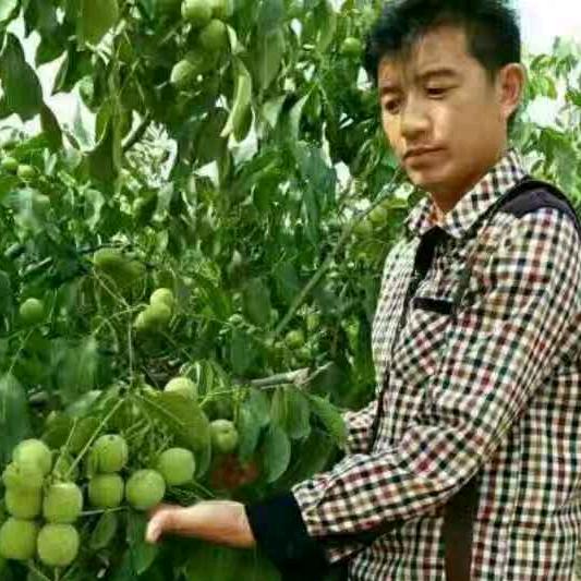 永远走最前面（鲁礼华）