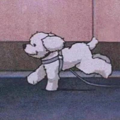 很少
