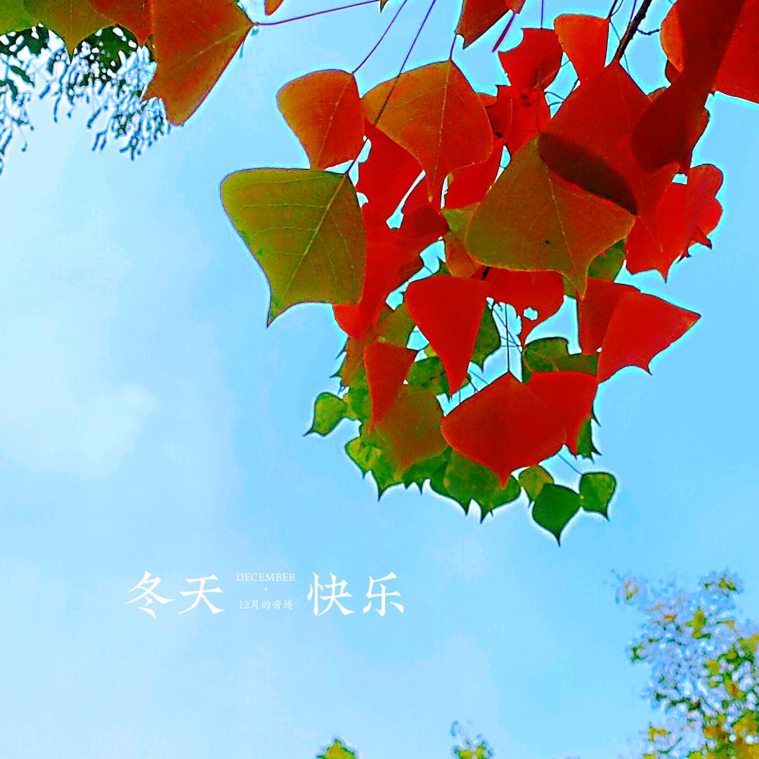 亲亲宝贝孕婴童百货