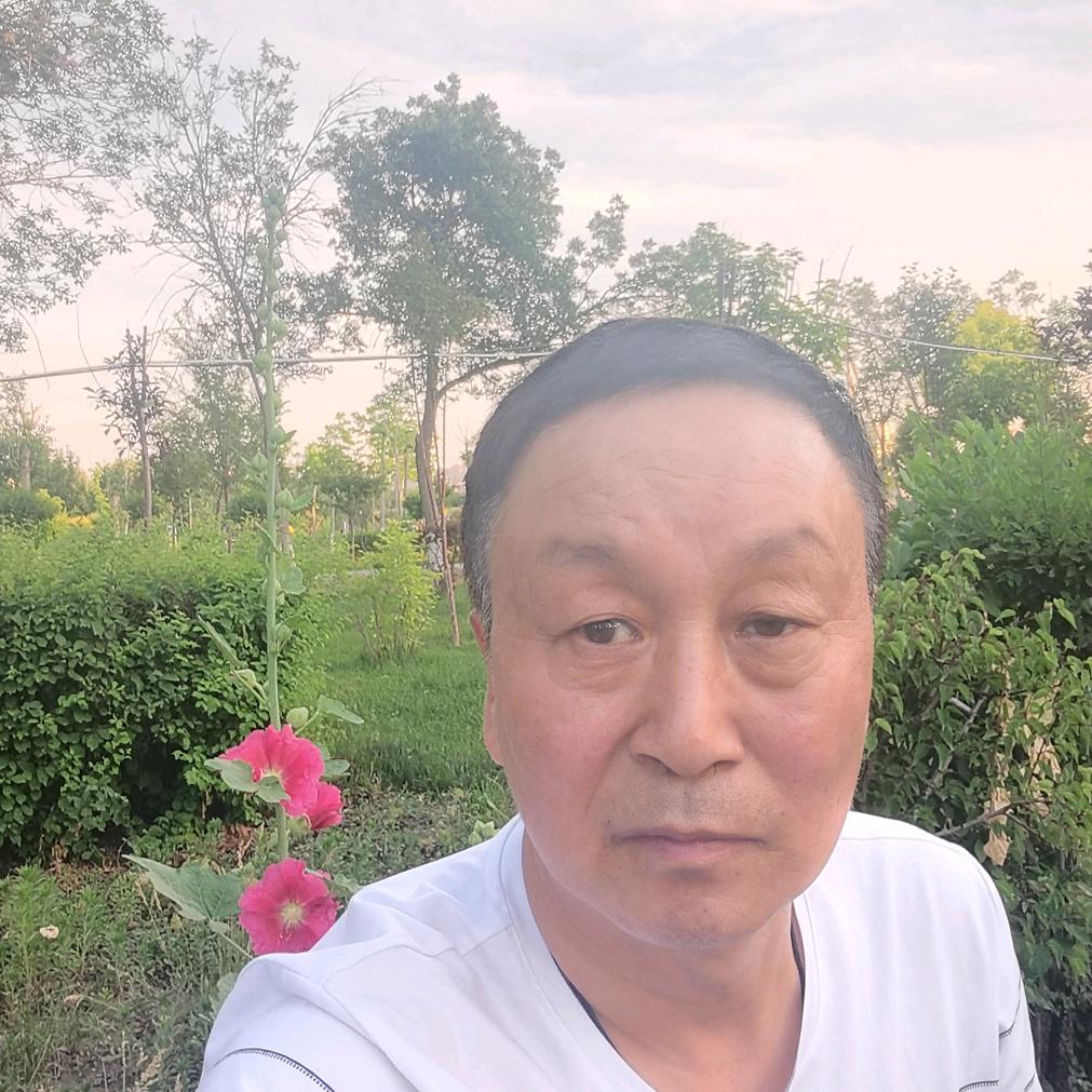 鲁新