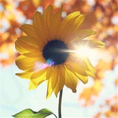 时光静好（拒私聊）