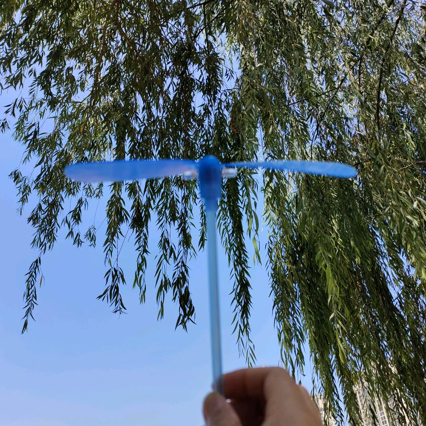 安安